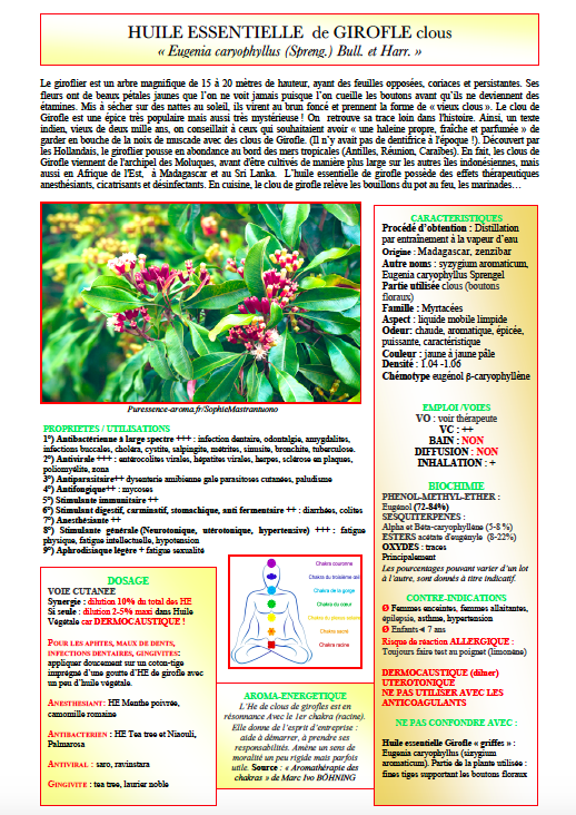 Fiche rsume Girofle clous, format pdf  imprimer vous mme  Puressence  Aroma