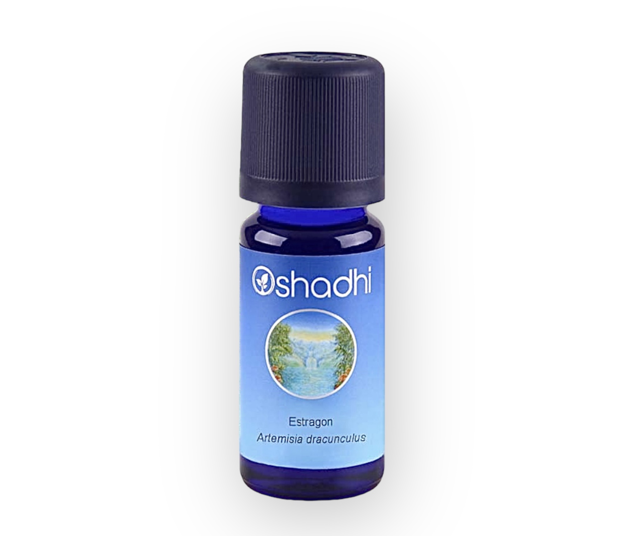 Huile essentielle Estragon HECT – Puressence Aroma