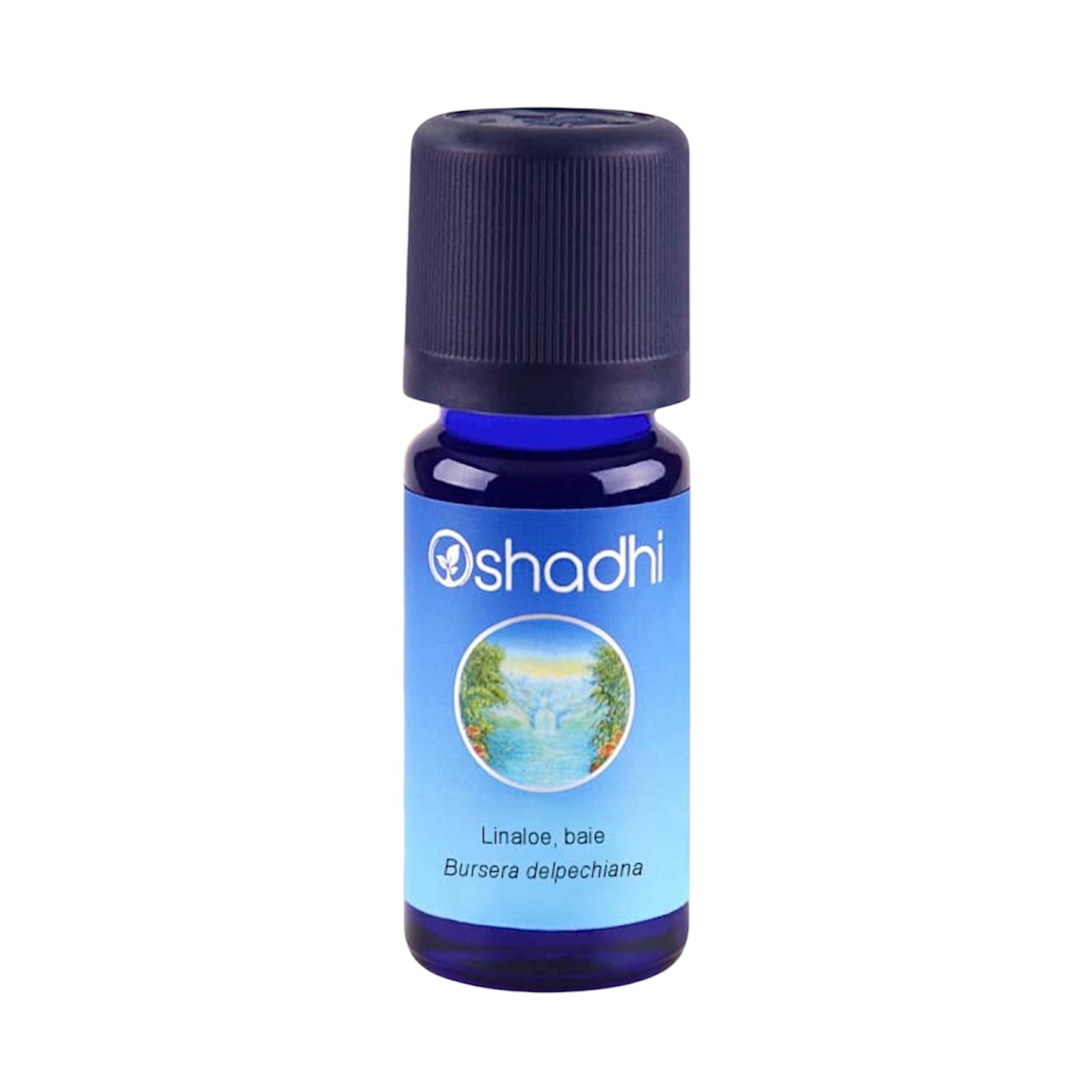 Photoroom_20260217_175916