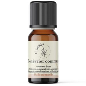 Eucalyptus dives à pipéritone huile essentielle bio 10 ml